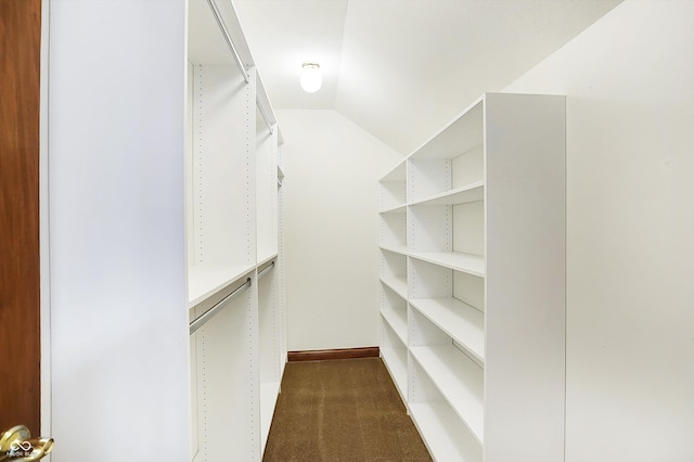 6640 Greenridge Dr, Indianapolis, IN 46278 - walk in closet with vaulted ceiling and dark colored carpet