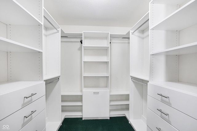 6640 Greenridge Dr, Indianapolis, IN 46278 - view of walk in closet