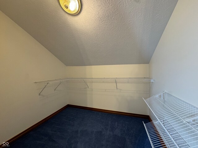 walk in closet featuring carpet and vaulted ceiling