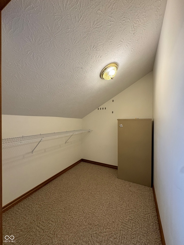 spacious closet featuring vaulted ceiling and carpet floors