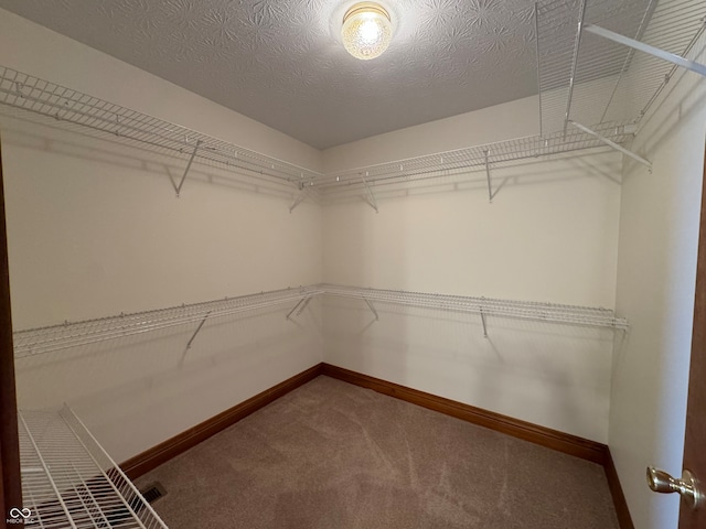 walk in closet featuring carpet