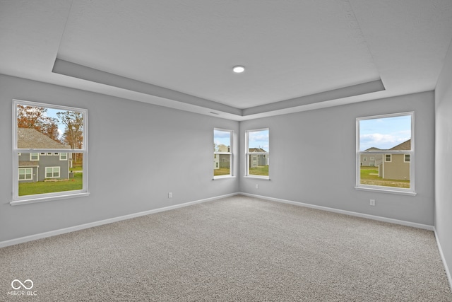 unfurnished room with plenty of natural light, carpet floors, and a raised ceiling