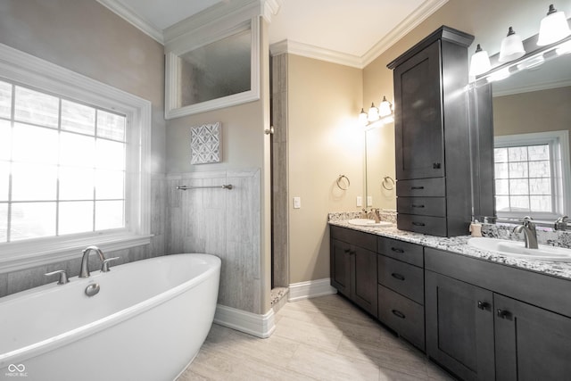 bathroom with a bathing tub, crown molding, and plenty of natural light