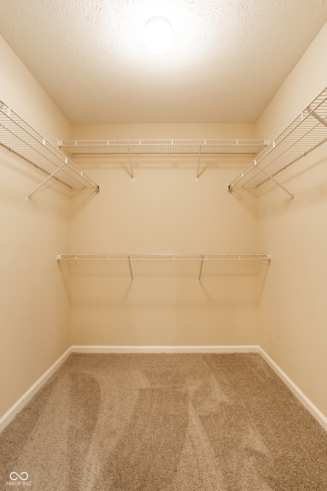 spacious closet featuring carpet floors