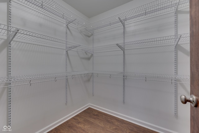 spacious closet with dark hardwood / wood-style floors