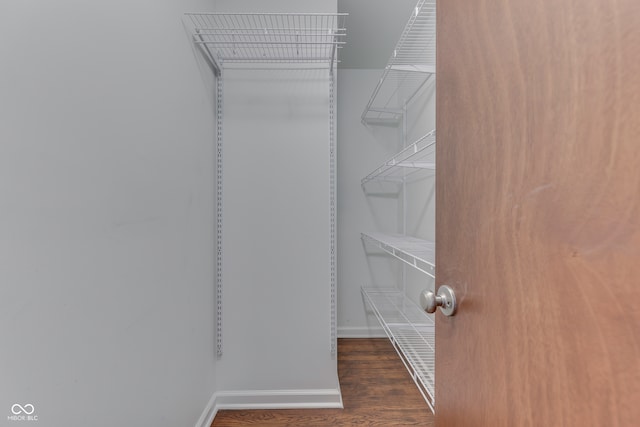 spacious closet featuring dark wood-type flooring