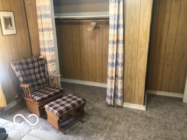 living area with dark colored carpet and wood walls