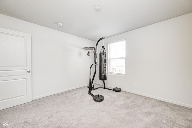 exercise area with light colored carpet