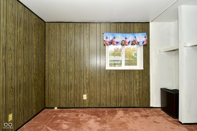 carpeted spare room with wood walls