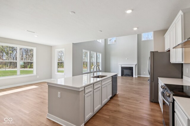 kitchen with plenty of natural light, an island with sink, light wood-type flooring, and sink