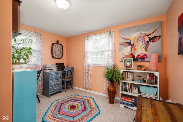 interior space featuring light colored carpet