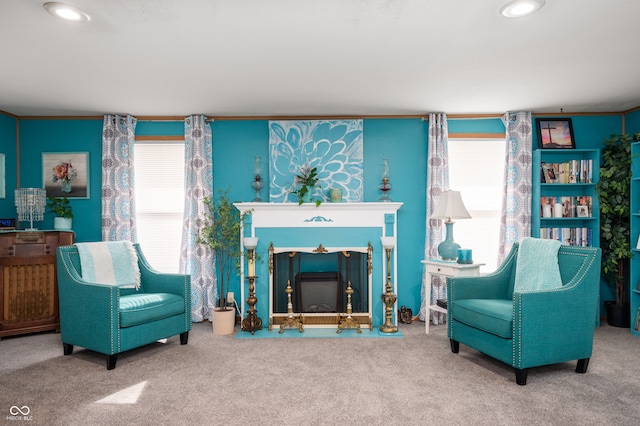 living area featuring carpet and plenty of natural light