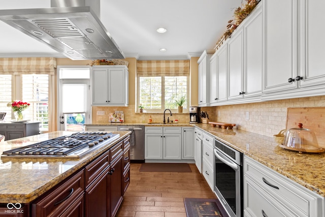 kitchen with backsplash, exhaust hood, sink, light wood-type flooring, and appliances with stainless steel finishes