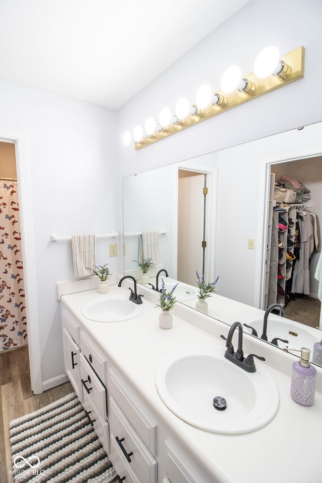 bathroom with hardwood / wood-style flooring and vanity