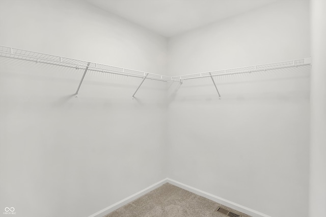 walk in closet with carpet flooring