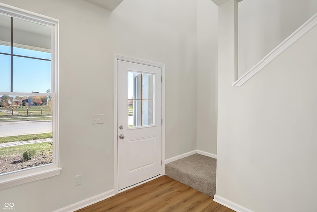 entryway featuring hardwood / wood-style floors and a healthy amount of sunlight