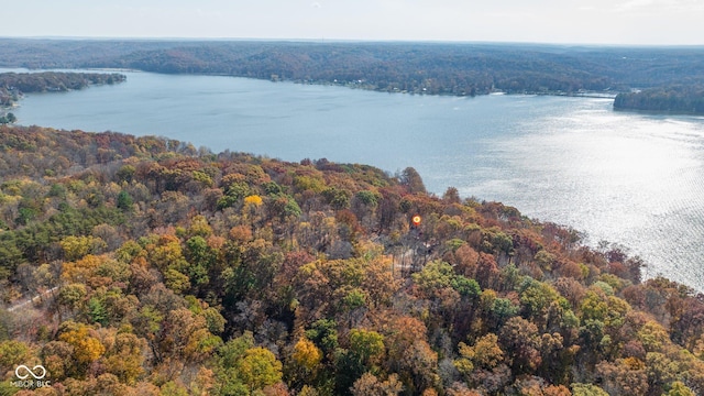 9300 Derrett Rd, Unionville, IN 47468 - drone / aerial view of a forest and a large body of water