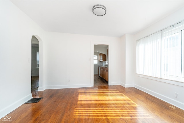 spare room with plenty of natural light, wood-type flooring, and sink