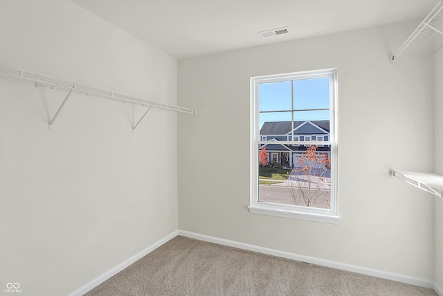 spacious closet with carpet floors