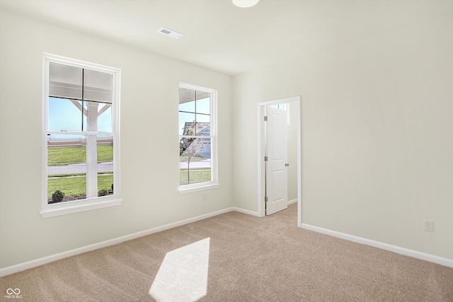 carpeted spare room with a wealth of natural light