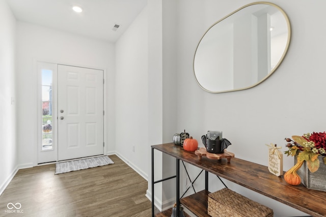 foyer entrance featuring dark wood-type flooring