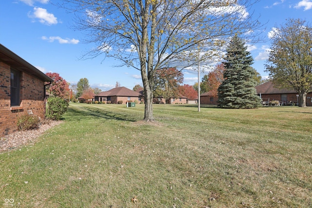 view of grassy yard