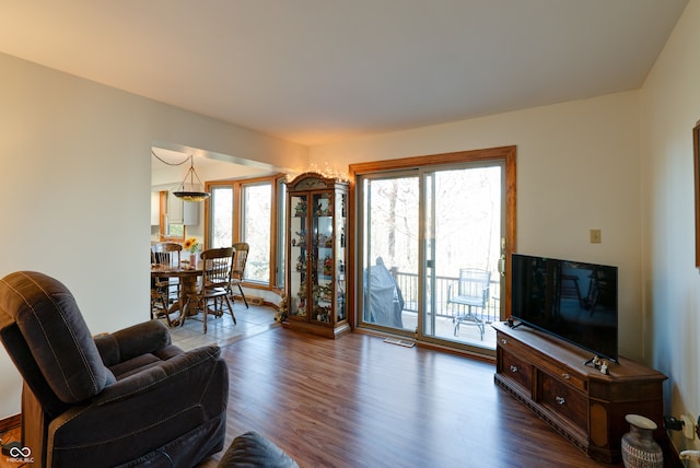 living room with wood-type flooring