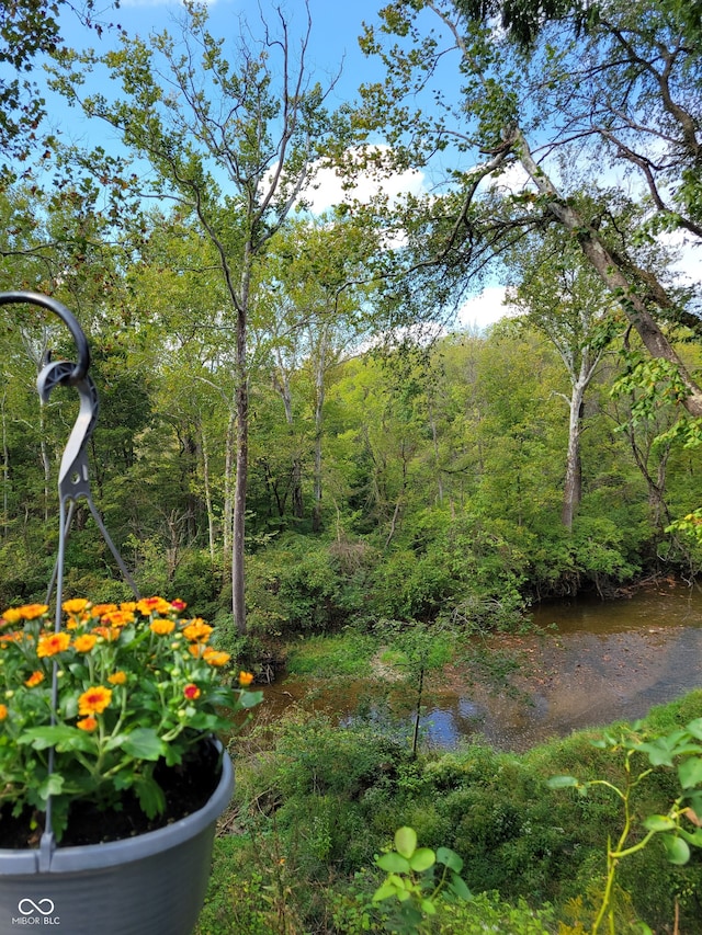 view of yard featuring a water view