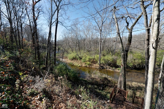 view of local wilderness