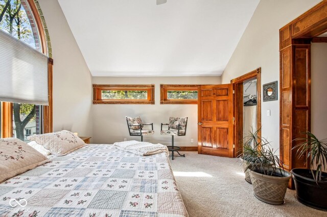 6902 Creekridge Trl, Indianapolis, IN 46256 - carpeted bedroom with multiple windows, baseboards, and high vaulted ceiling