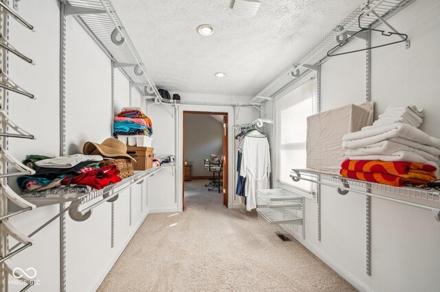 6902 Creekridge Trl, Indianapolis, IN 46256 - walk in closet featuring light colored carpet