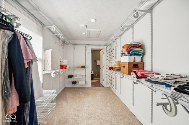 6902 Creekridge Trl, Indianapolis, IN 46256 - walk in closet featuring light carpet and attic access