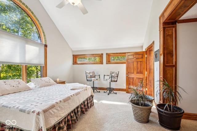 carpeted bedroom featuring multiple windows, ceiling fan, and high vaulted ceiling