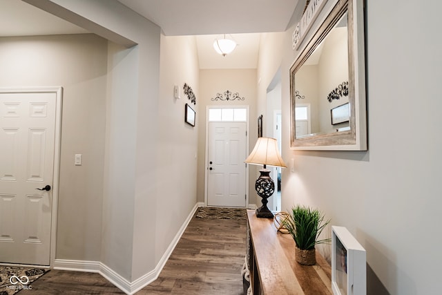 foyer entrance with wood-type flooring