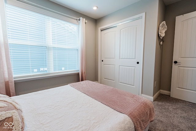 bedroom featuring a closet and carpet floors