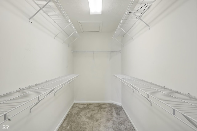 spacious closet featuring light carpet