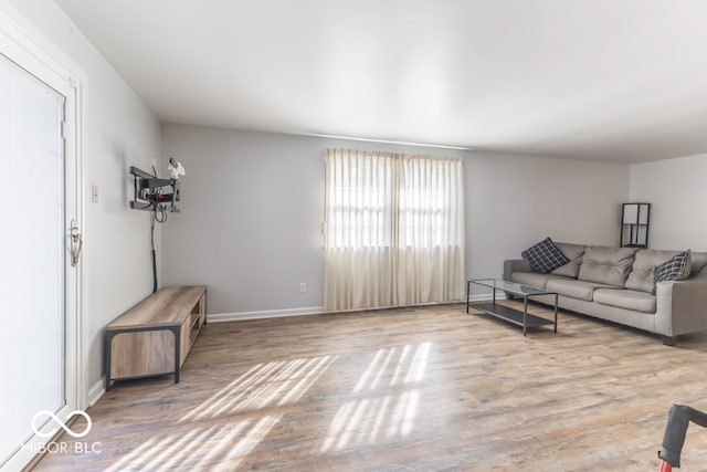 living room featuring wood-type flooring