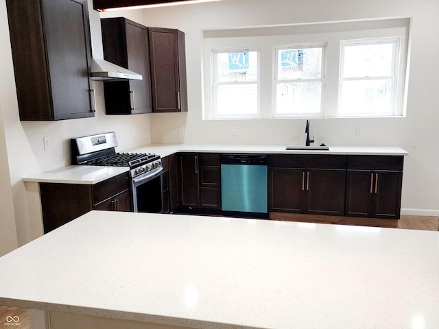 kitchen with dark brown cabinets, a healthy amount of sunlight, stainless steel appliances, and sink