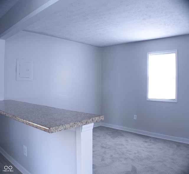 kitchen featuring a textured ceiling and carpet