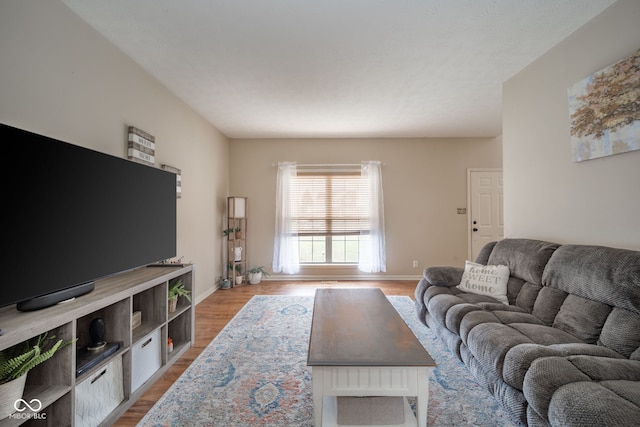 living room with light hardwood / wood-style flooring