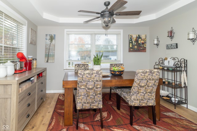 dining area with ceiling fan, a raised ceiling, a healthy amount of sunlight, and light hardwood / wood-style flooring