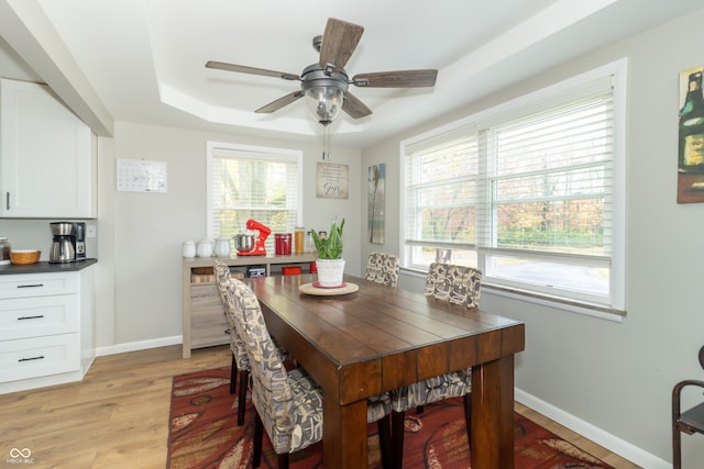 dining room with plenty of natural light, a raised ceiling, light hardwood / wood-style floors, and ceiling fan