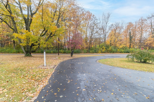 view of road