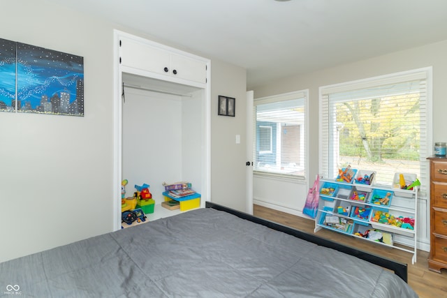 bedroom featuring wood-type flooring and a closet