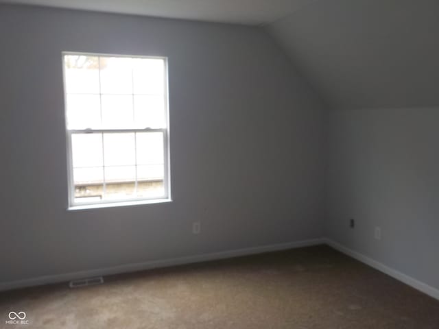 additional living space with plenty of natural light, vaulted ceiling, and carpet