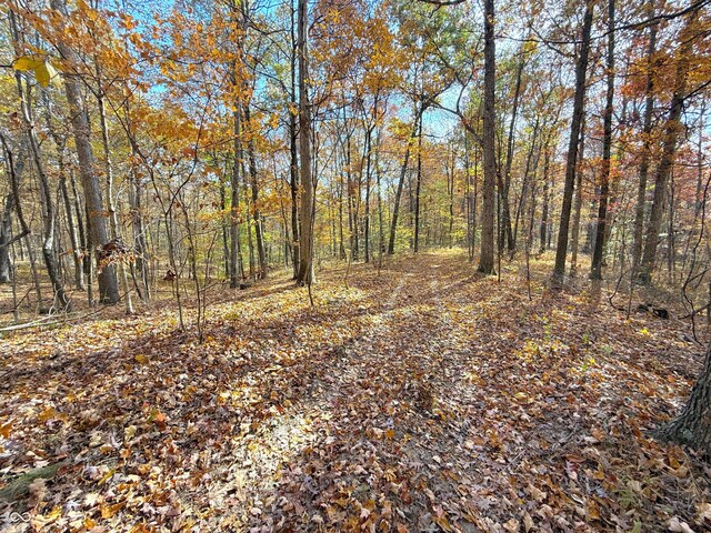 8052 E Ash Rd, Bloomfield, IN 47424 - photo 23