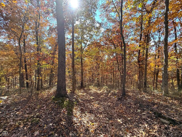8052 E Ash Rd, Bloomfield, IN 47424 - photo 20