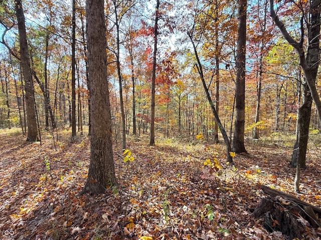 view of nature