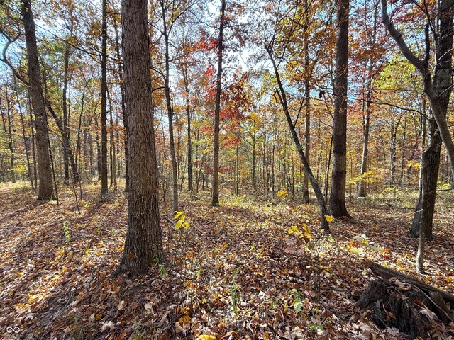 8052 E Ash Rd, Bloomfield, IN 47424 - photo 22