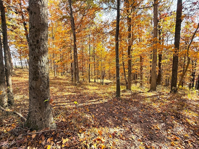 view of nature